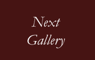 next gallery